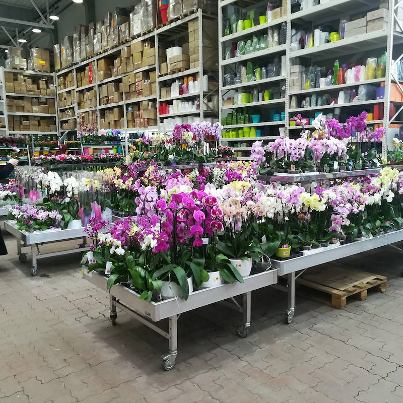 Ready-to-assemble fixed water tables in aluminium on wheels