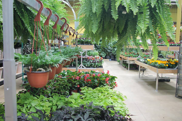 Мебель AMOR в новом интерьере отдела растений и цветов центра Urban Hardware