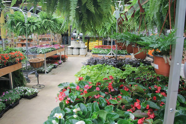 Мебель AMOR в новом интерьере отдела растений и цветов центра Urban Hardware