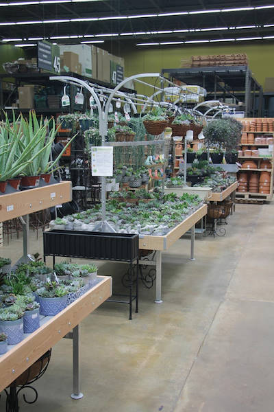 Мебель AMOR в новом интерьере отдела растений и цветов центра Urban Hardware