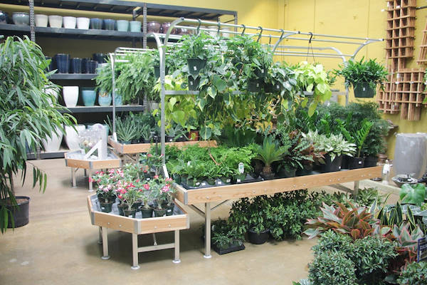 Мебель AMOR в новом интерьере отдела растений и цветов центра Urban Hardware