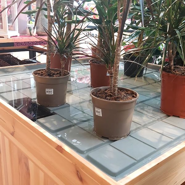 The Garden Center Il Tulipano Gets a Stylish Makeover