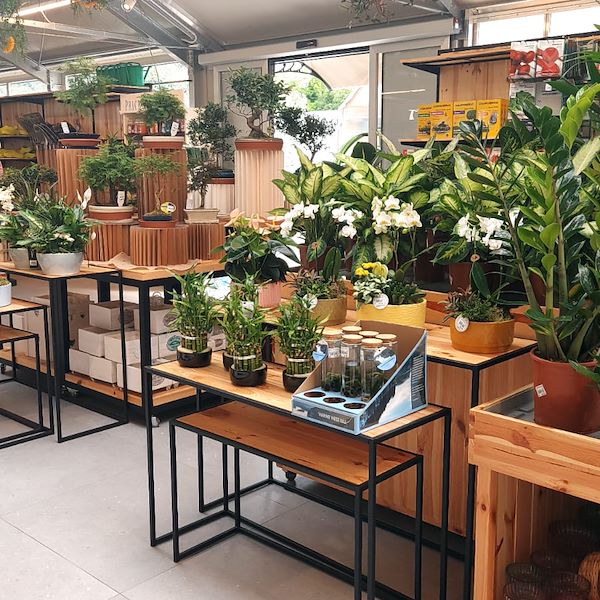 The Garden Center Il Tulipano Gets a Stylish Makeover