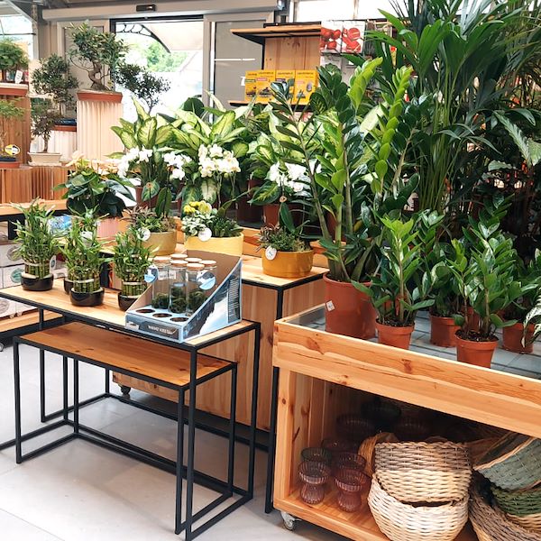 The Garden Center Il Tulipano Gets a Stylish Makeover