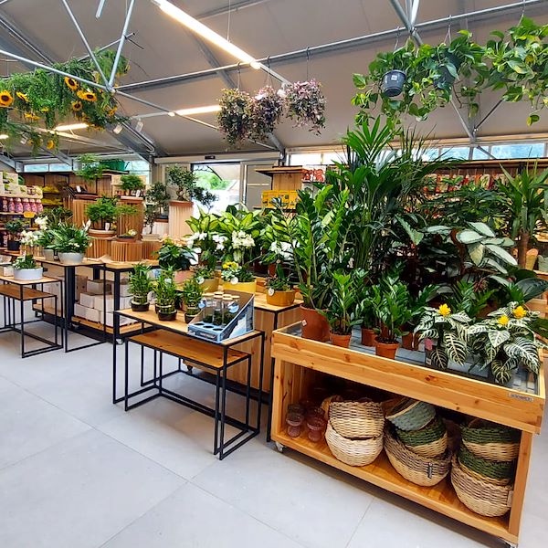 The Garden Center Il Tulipano Gets a Stylish Makeover