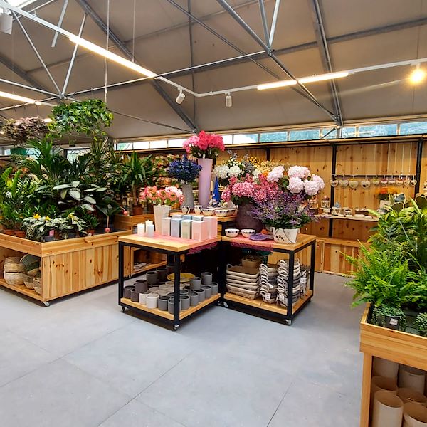 Садовый центр «Il Tulipano» обновляется со вкусом