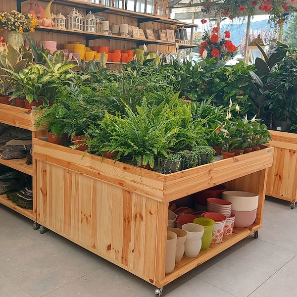 The Garden Center Il Tulipano Gets a Stylish Makeover