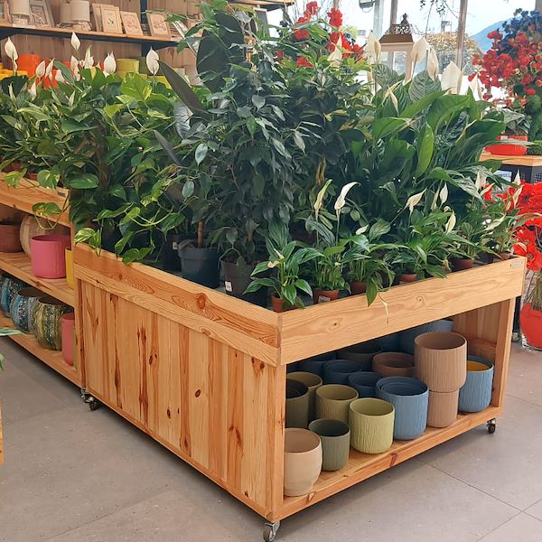 The Garden Center Il Tulipano Gets a Stylish Makeover