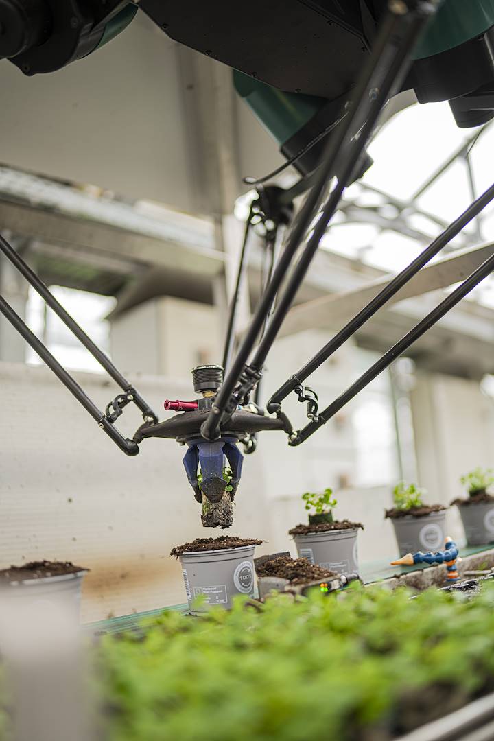 The robot that revolutionizes agriculture is here: record efficiency in the greenhouses of the future