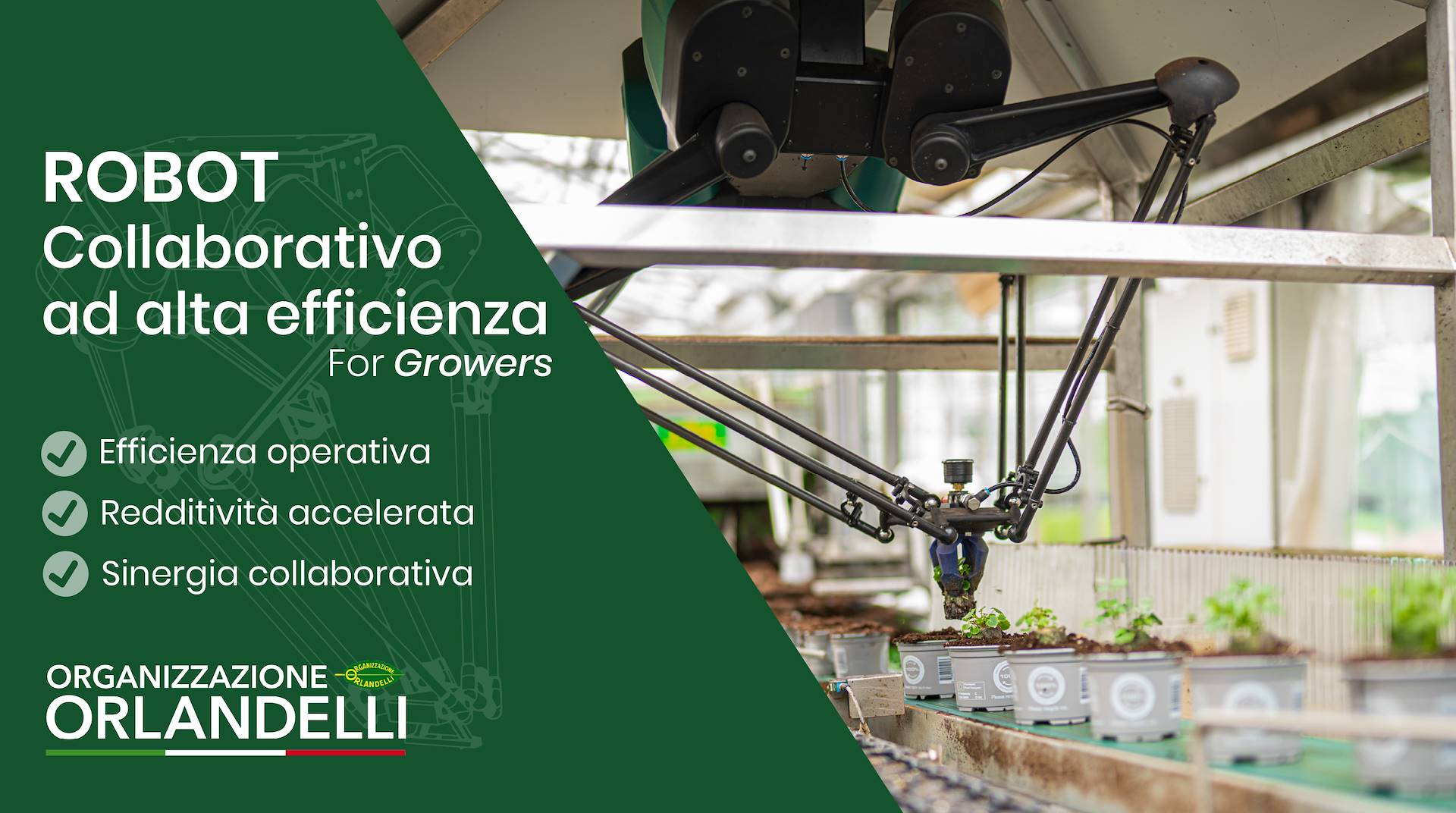 Грядет робот, который произведет революцию в сельском хозяйстве: рекордная эффективность в теплицах будущего