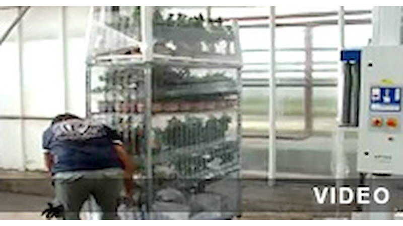 Automatic wrapping machine