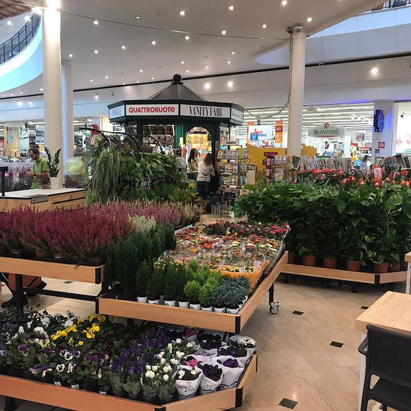 Деревянный стол линии AMOR