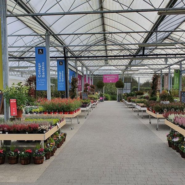 Деревянный стол линии AMOR