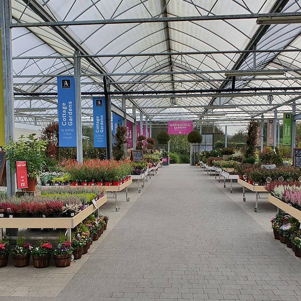 Bench, wood line AMOR