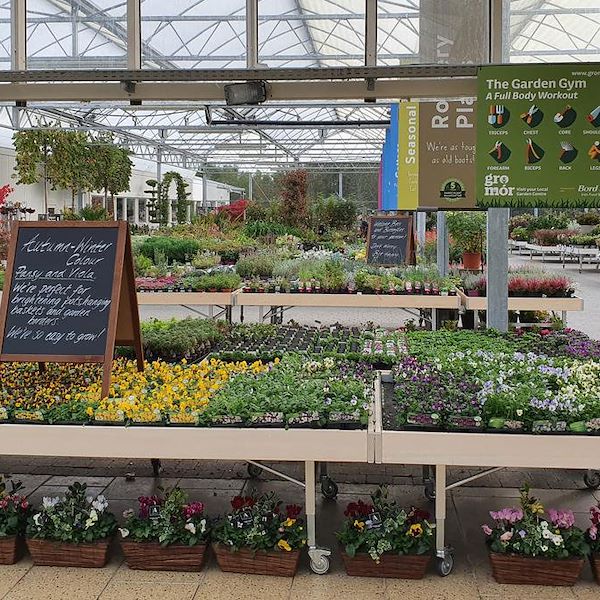 Деревянный стол линии AMOR