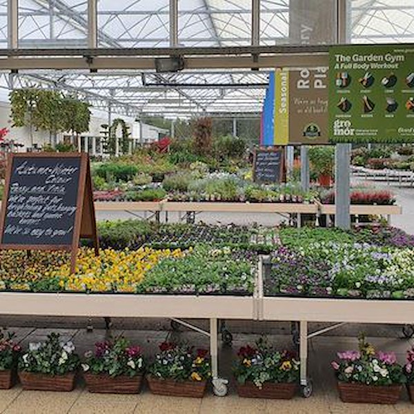 Деревянный стол линии AMOR