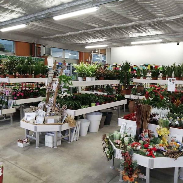 Деревянный стол линии AMOR