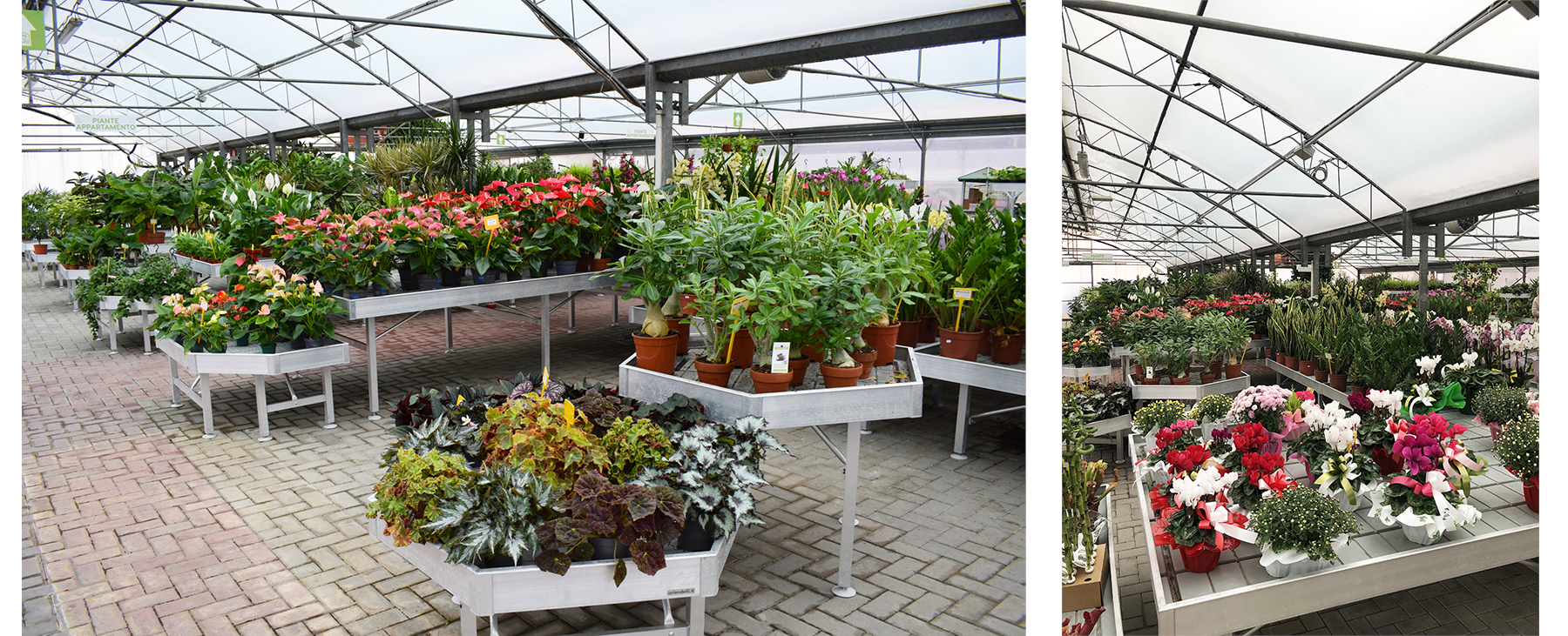 New display stands, which make full use of the spaces by showing all the plants and flowers for sale.