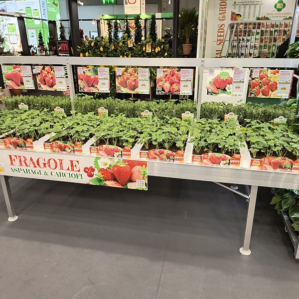 Aluminum card holder bar