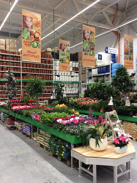 BauCenter is pleased to introduce its new plant and flower area