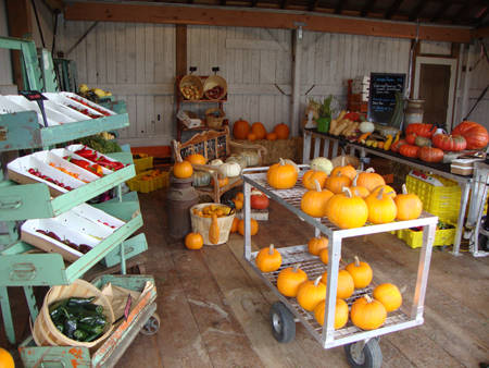 Blooming Nursery, Oregon – USA
