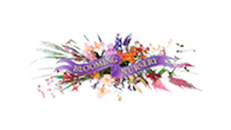 Blooming Nursery, Oregon (USA), an year later