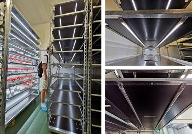 телеги «Датский контейнер» 