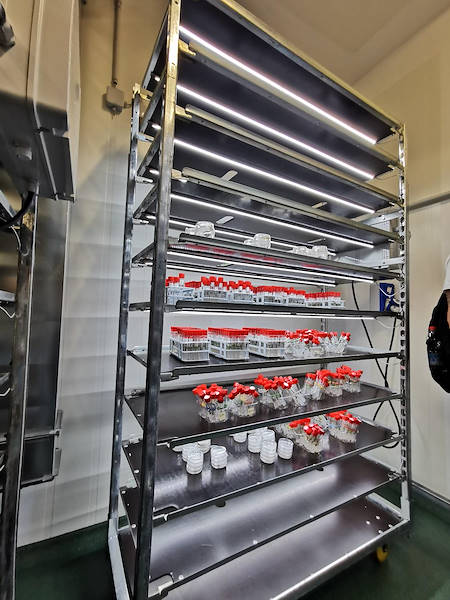 Новые телеги «Датский контейнер» с комплектом ламп C-LED