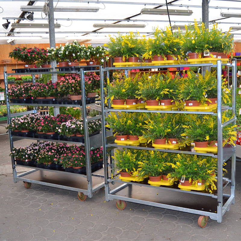 Cabriolet convertible trolley