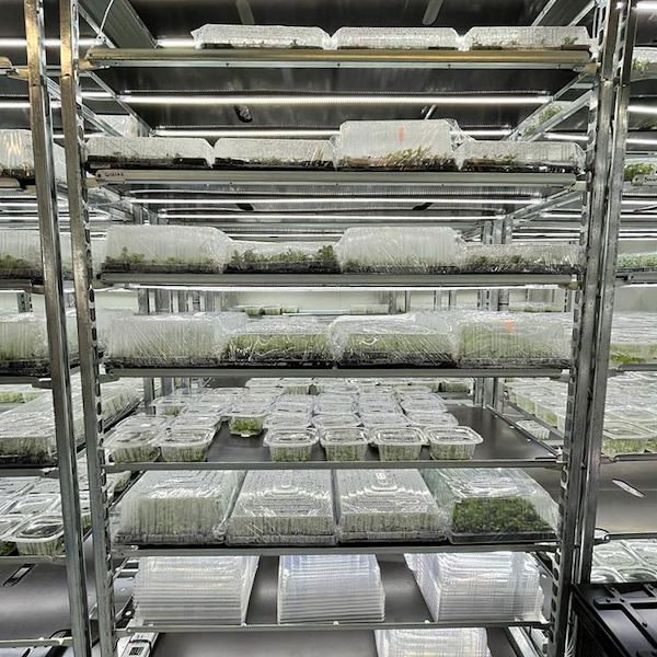 Тележка «Датский контейнер» с комплектом ламп Led для ПРОРОШЕНИЯ И ПРИВИВКИ растений