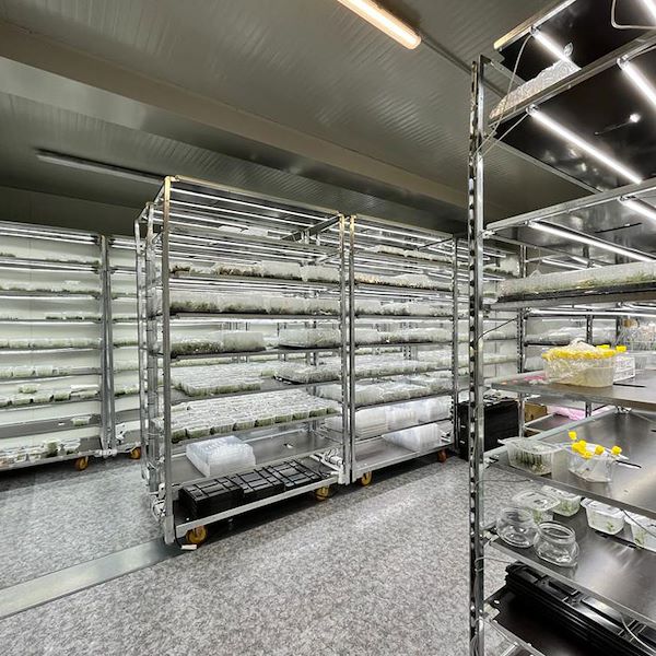 Тележка «Датский контейнер» с комплектом ламп Led для ПРОРОШЕНИЯ И ПРИВИВКИ растений