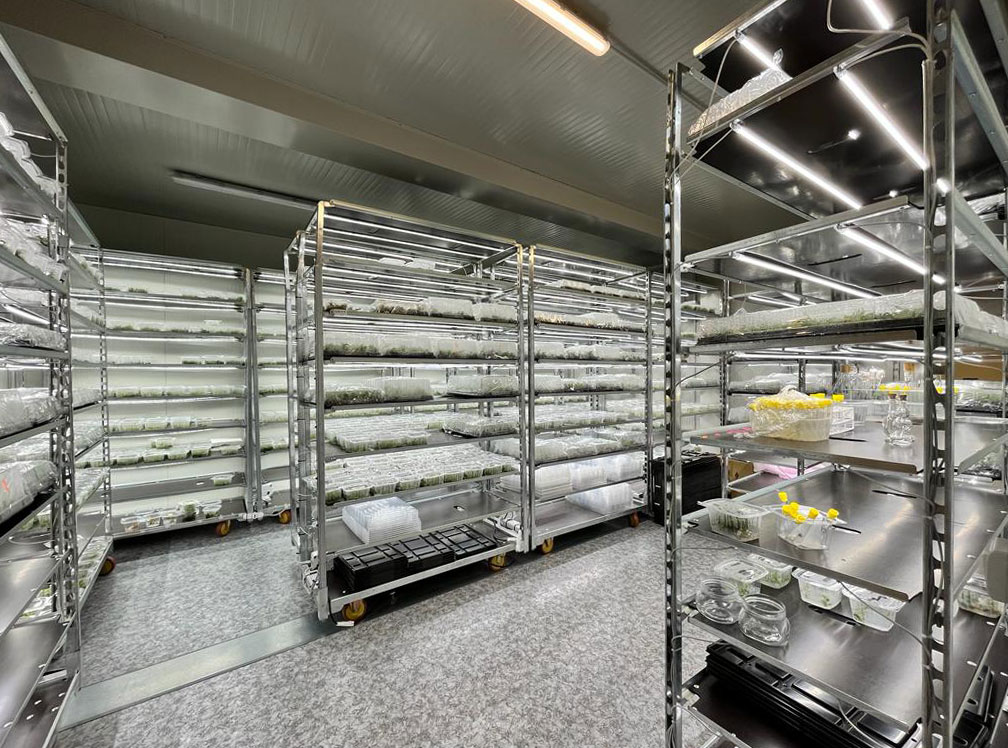 Chariot DC avec kit d'éclairage LED pour GERMINATION ET GREFFAGE