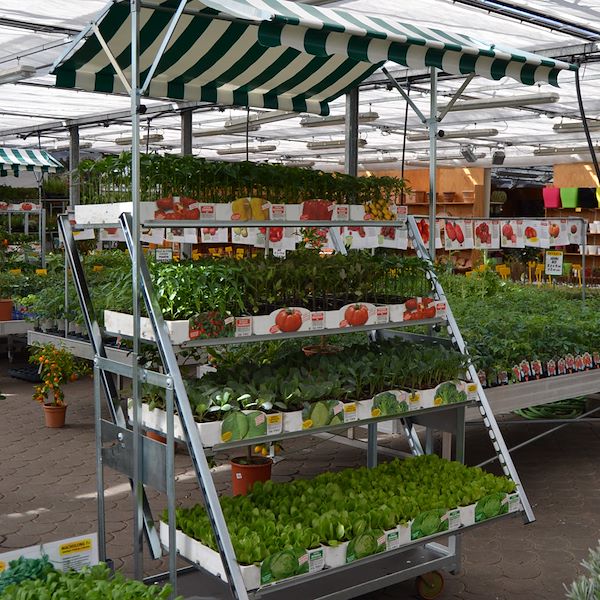 Тележка Кабриолет с поддонами