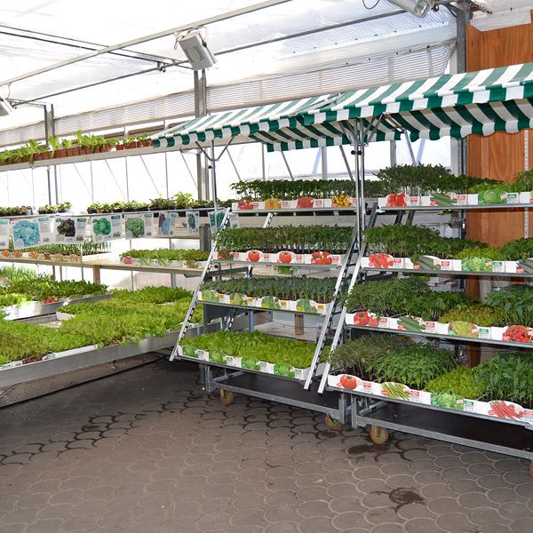 Тележка Кабриолет с поддонами