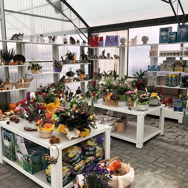 Новый облик сада Фредиани