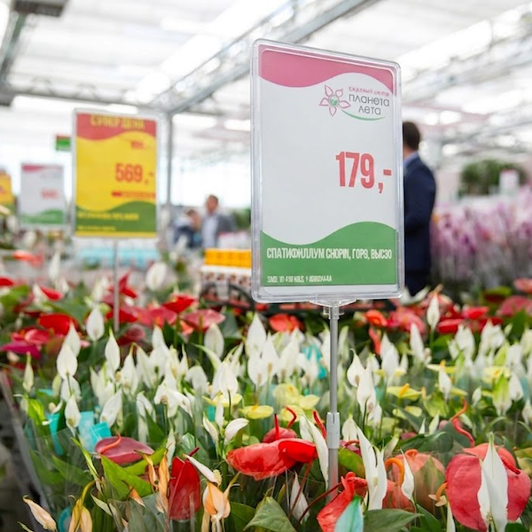 Price stand with fixed frame