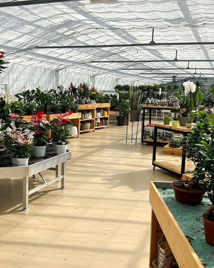 From Nursery to Garden Center: The Restyling of Floricoltura Benda