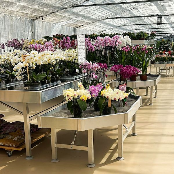 From Nursery to Garden Center: The Restyling of Floricoltura Benda