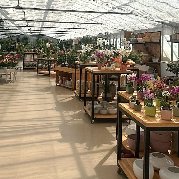 От питомника к садовому центру: рестайлинг Floricoltura Benda