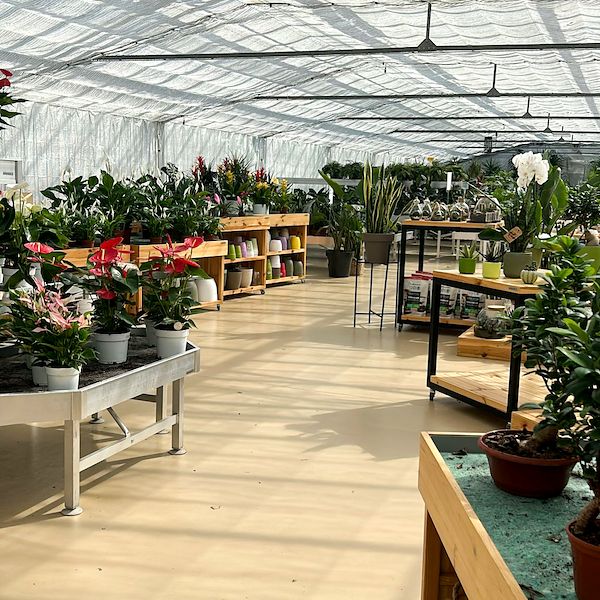 От питомника к садовому центру: рестайлинг Floricoltura Benda