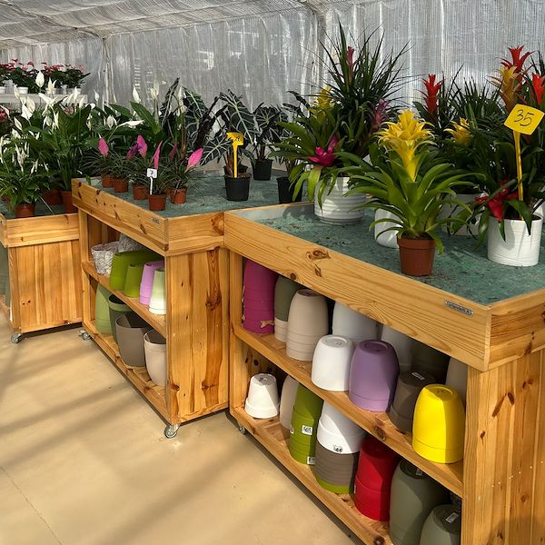 От питомника к садовому центру: рестайлинг Floricoltura Benda