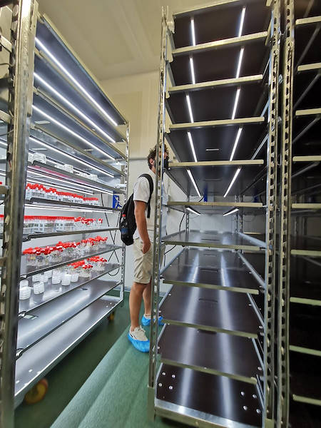 Τα νέα καροτσάκια DC με κιτ φωτισμού C-LED