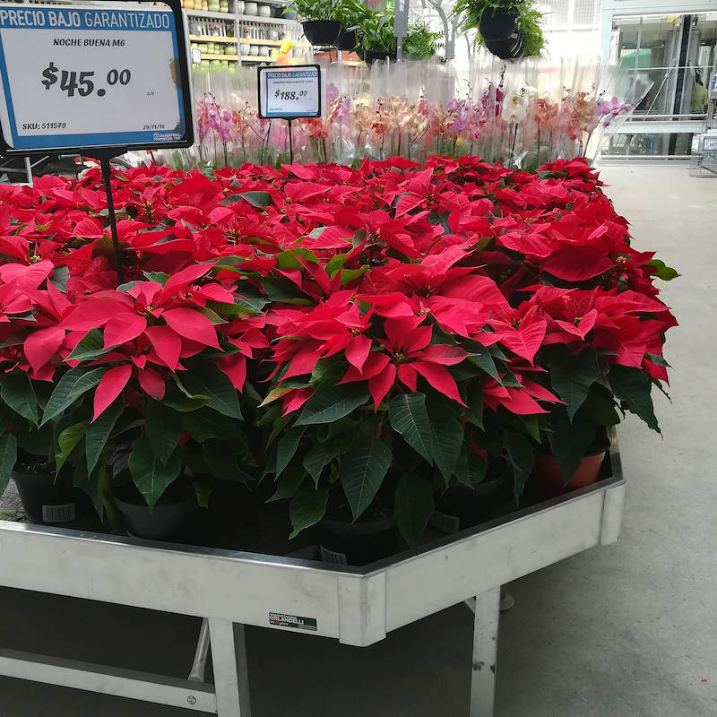 End Cap for aluminum bench