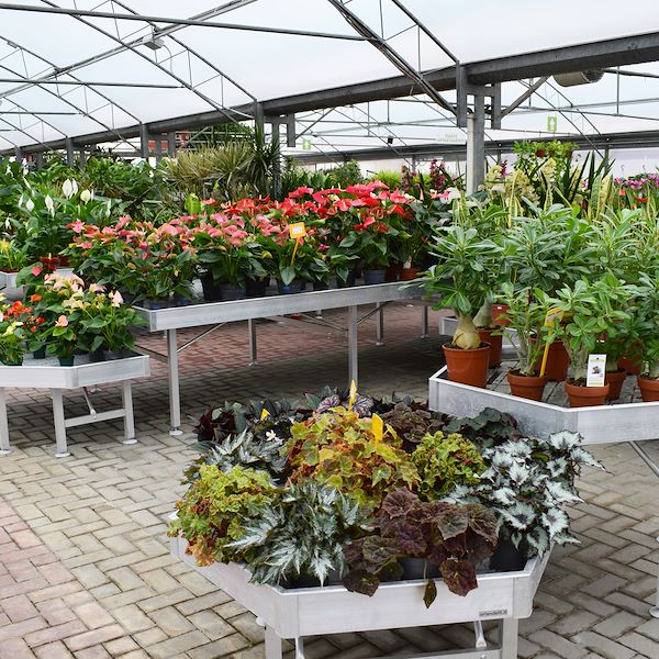 The new look of Garden Frediani