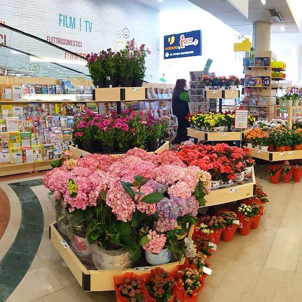 Шестигранный стол деревянная линия AMOR