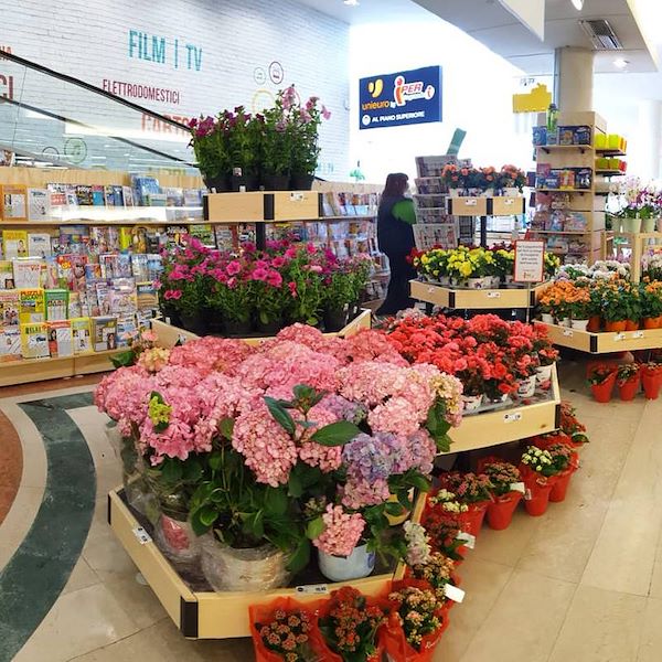 Шестигранный стол деревянная линия AMOR