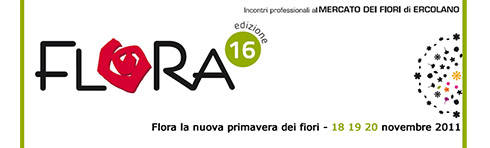 FLORA The new spring flowers