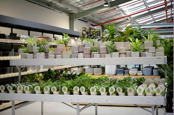 Новый садовый центр Flower Power