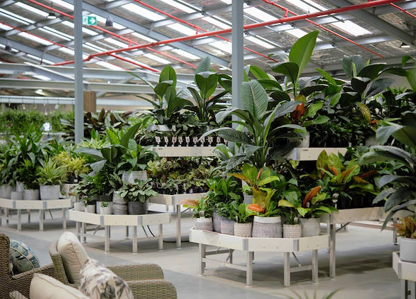 Новый садовый центр Flower Power