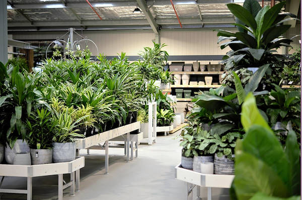 Новый садовый центр Flower Power